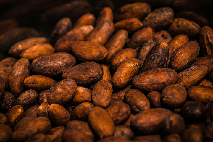Cacao en poudre bio