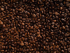 Café en poudre bio