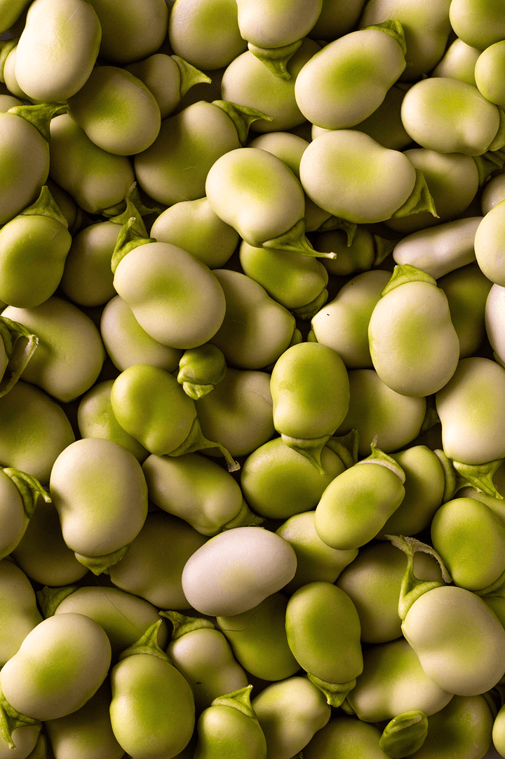 Protéine de fève bio