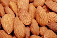 Protéine d'amande bio