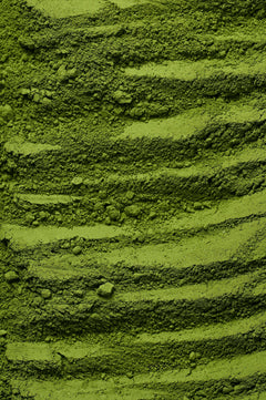 Matcha en poudre bio