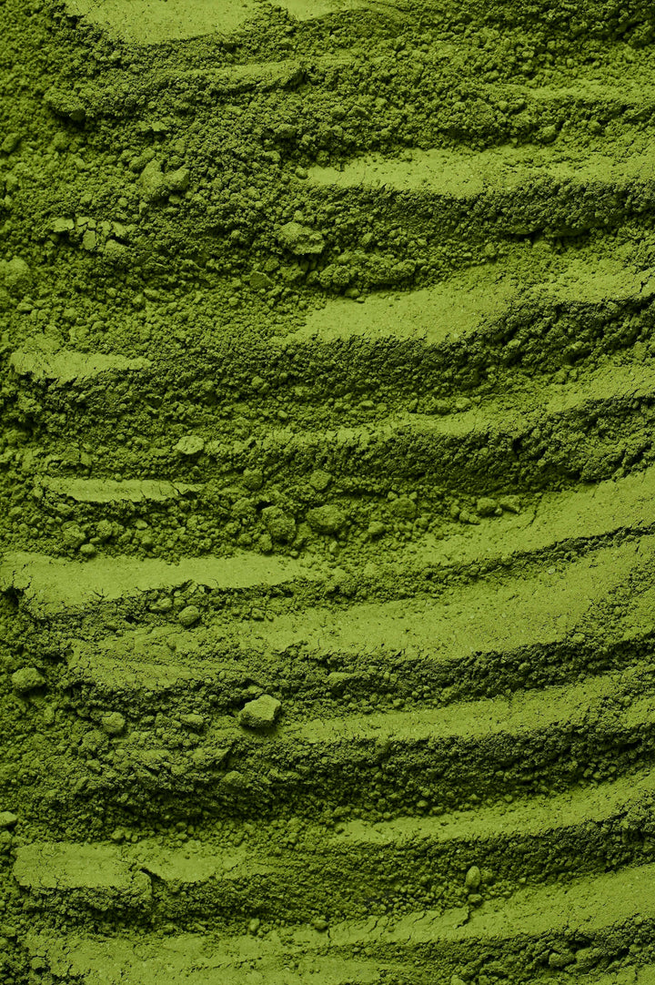 Matcha en poudre bio