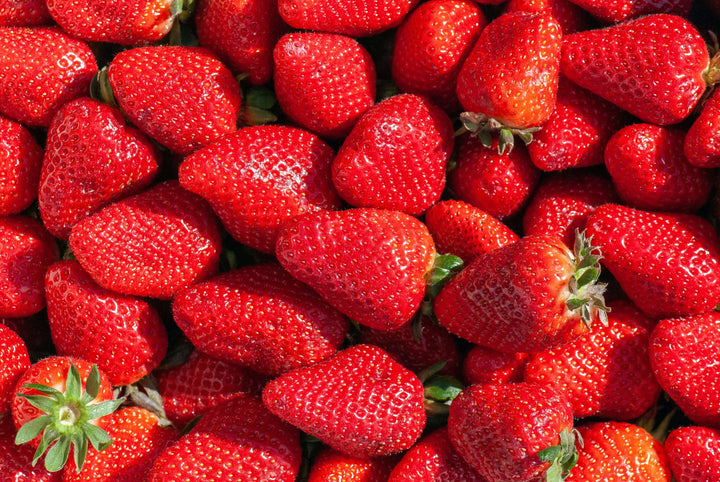 Fraise en poudre bio
