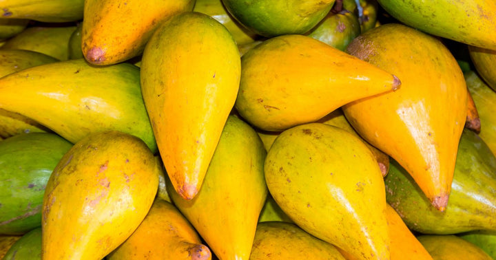 Lucuma en poudre bio