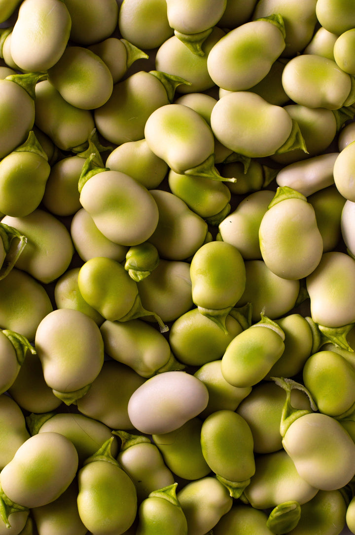 Protéine de fève bio